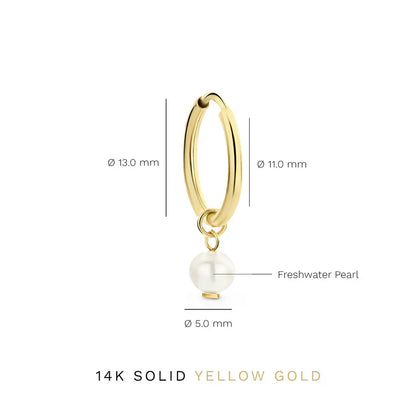 Delia Crest Ohrringe | Gold
